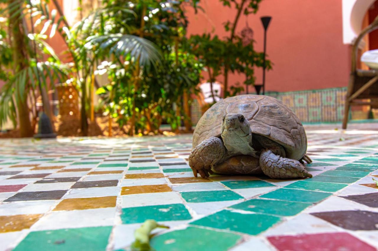 Riad Kaiss By Anika Marakéš Exteriér fotografie